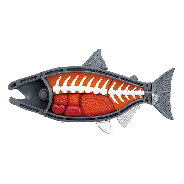 [Kaitai puzzle] [Tuna] 解體拼圖 吞拿魚