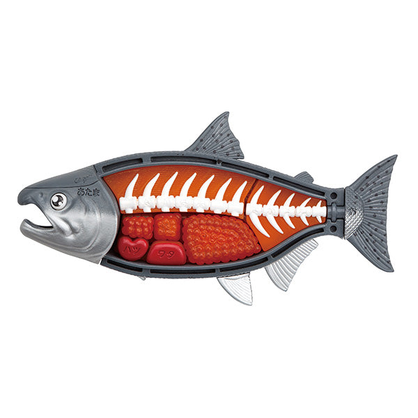 [Kaitai puzzle] [Tuna] 解體拼圖 吞拿魚